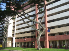 Blk 508 Ang Mo Kio Avenue 8 (Ang Mo Kio), HDB 2 Rooms #43482